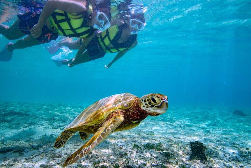 Lặn biển ở Hanauma Bay